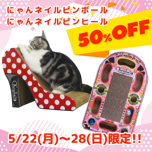 5月22日から28日まで、人気商品半額セール開催!