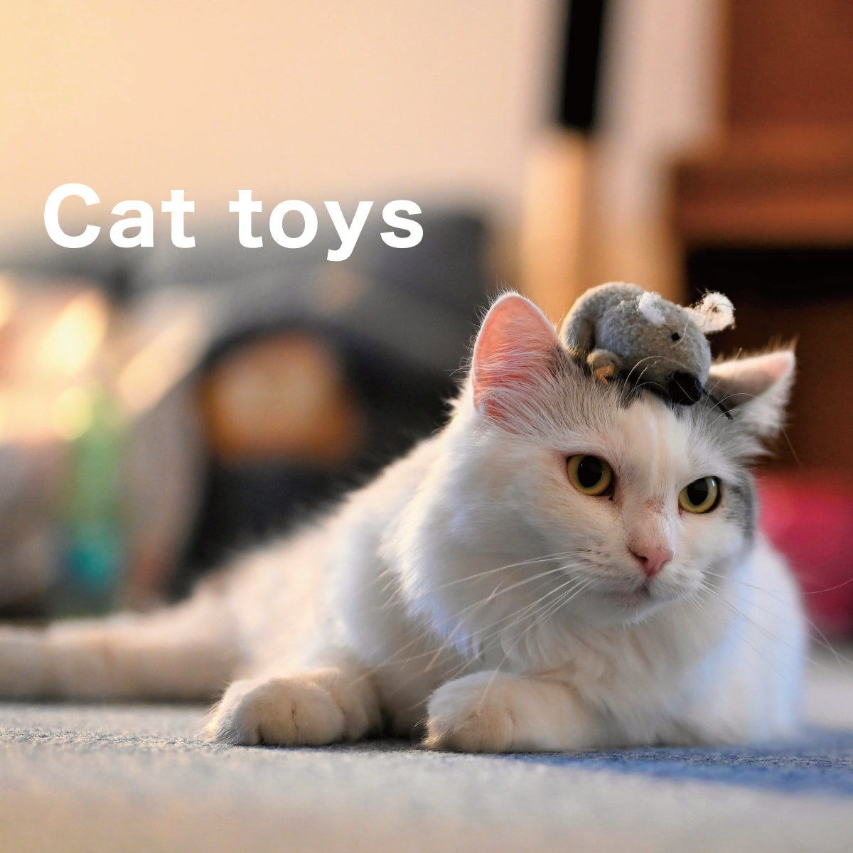 ねこのおもちゃ | ねこの爪とぎ専門店『KeyTail（キーテイル）』 – 猫