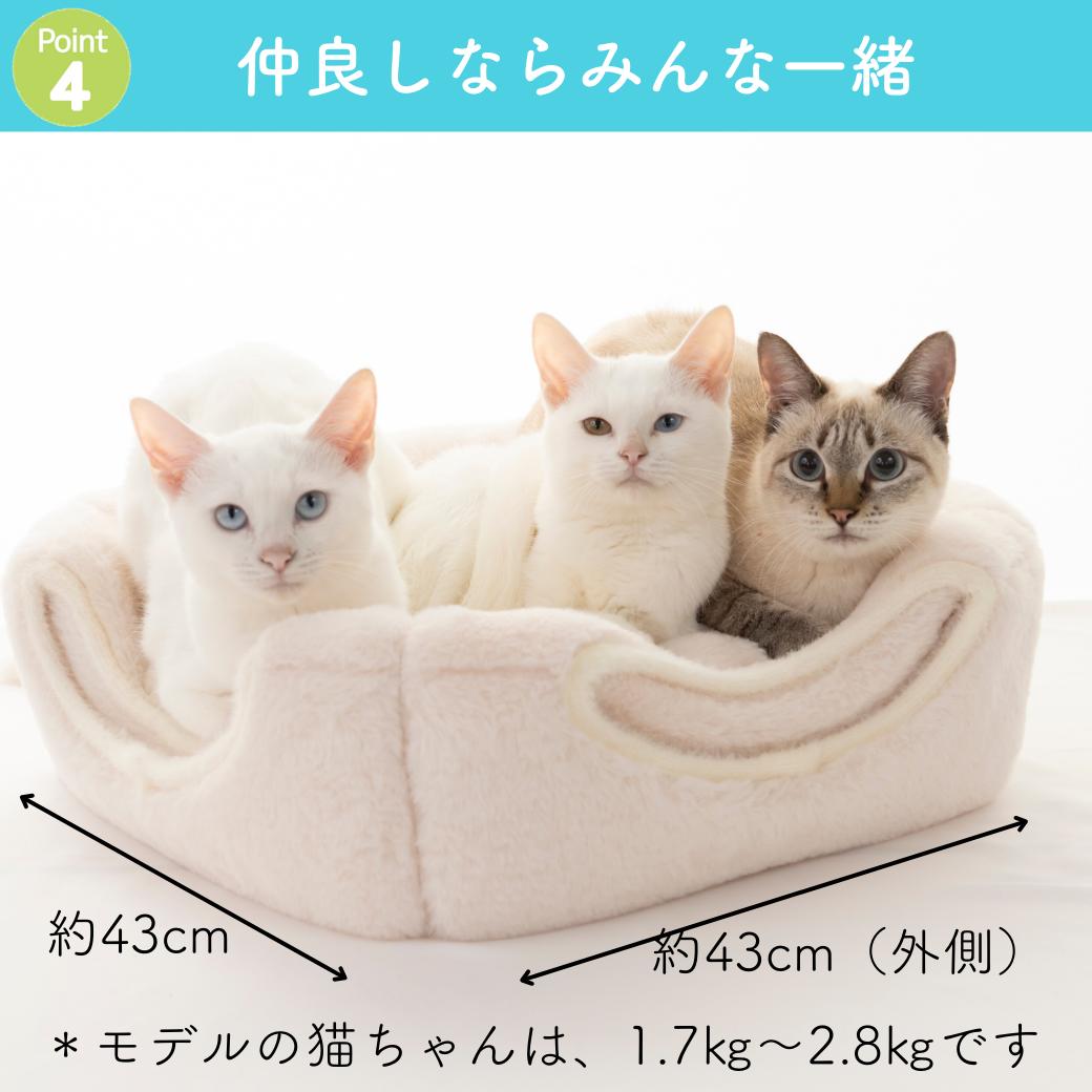 もふもふキューブ&ソファー