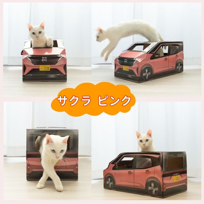 にゃっさん サクラ