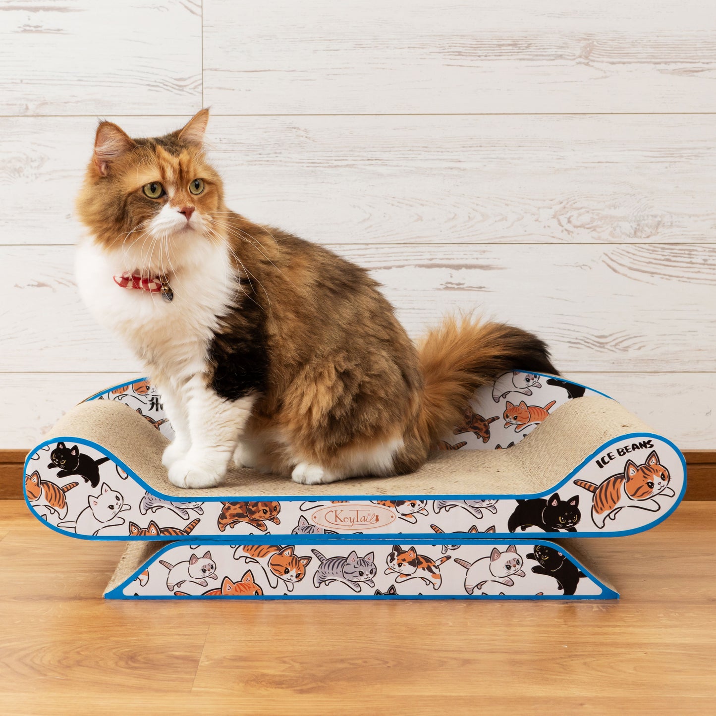 にゃんネイル ソファーL (台座付き) 全10カラー