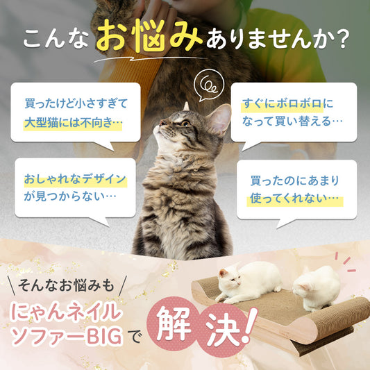 「こんなお悩みありませんか?」小さすぎて大型猫に不向き・すぐボロボロになる・おしゃれなデザインがない・使ってくれないの4つの悩みを提起し、にゃんネイルソファーBIGで解決と案内する導入カット