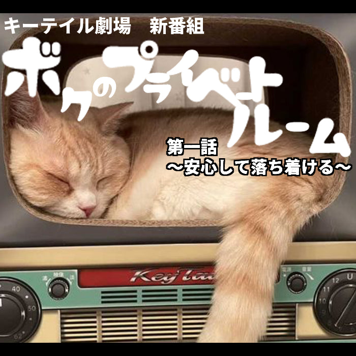 にゃんネイル テレビジョン