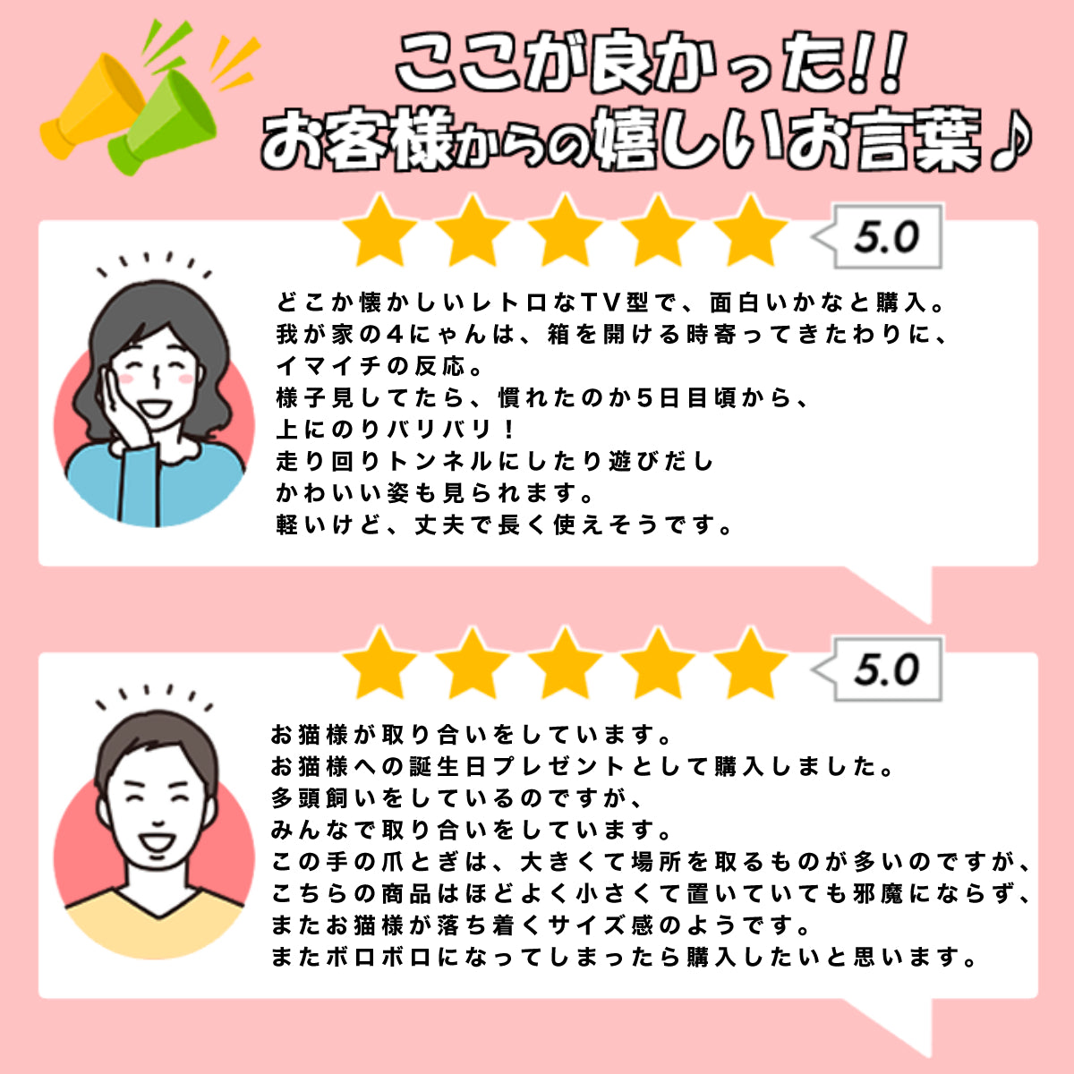 にゃんネイル テレビジョン
