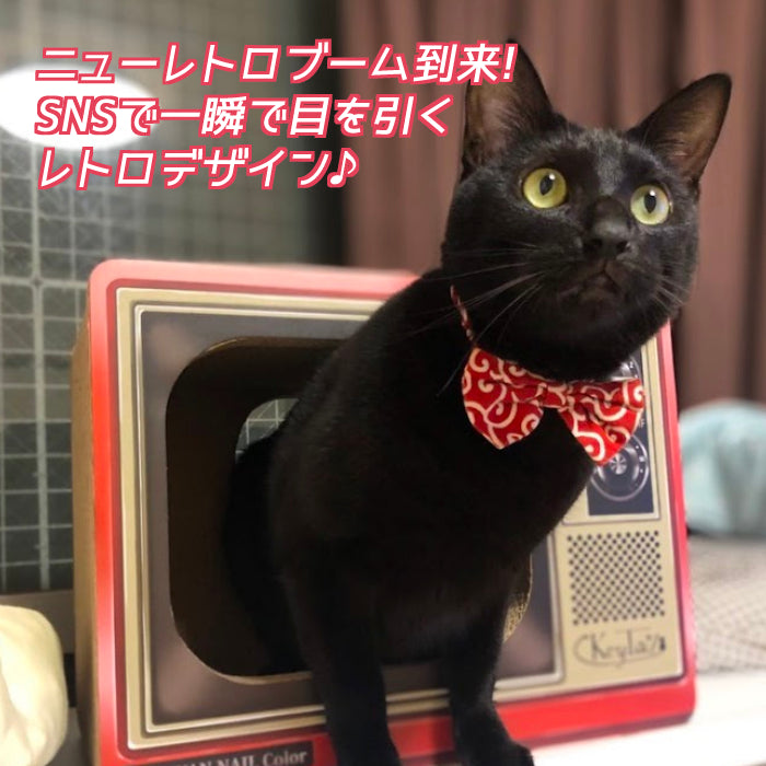 にゃんネイル テレビジョン