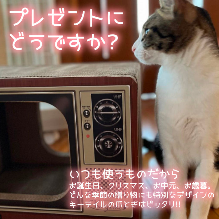 にゃんネイル テレビジョン