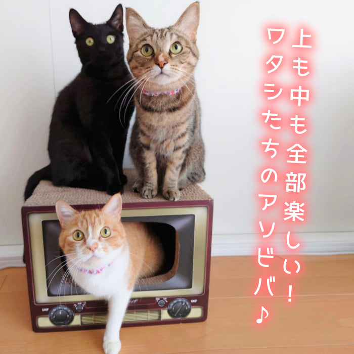 にゃんネイル テレビジョン