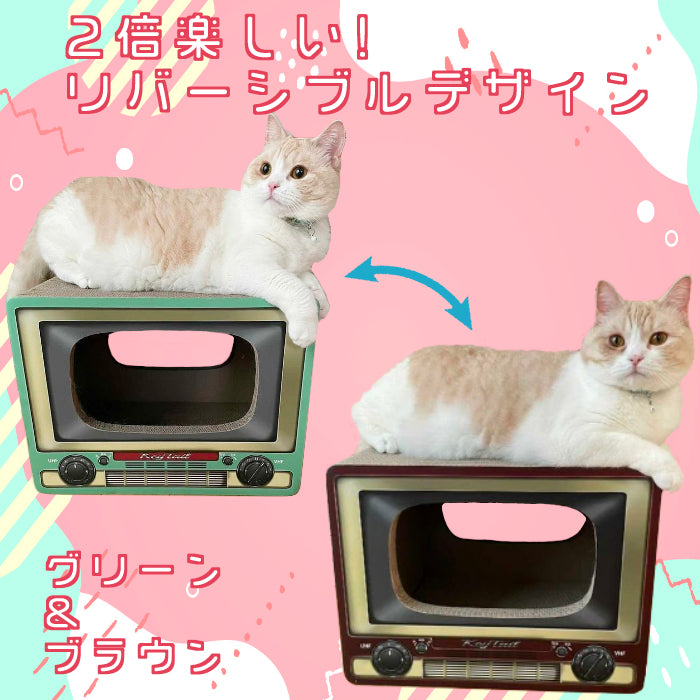 にゃんネイル テレビジョン
