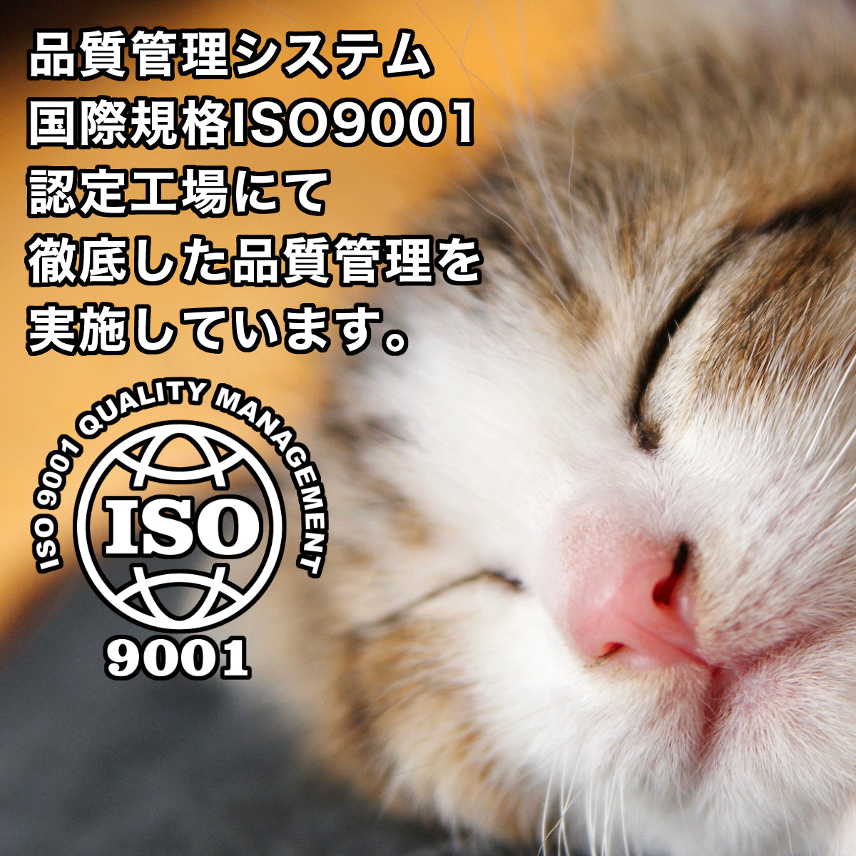にゃんクーパー (キャット360/R-3)