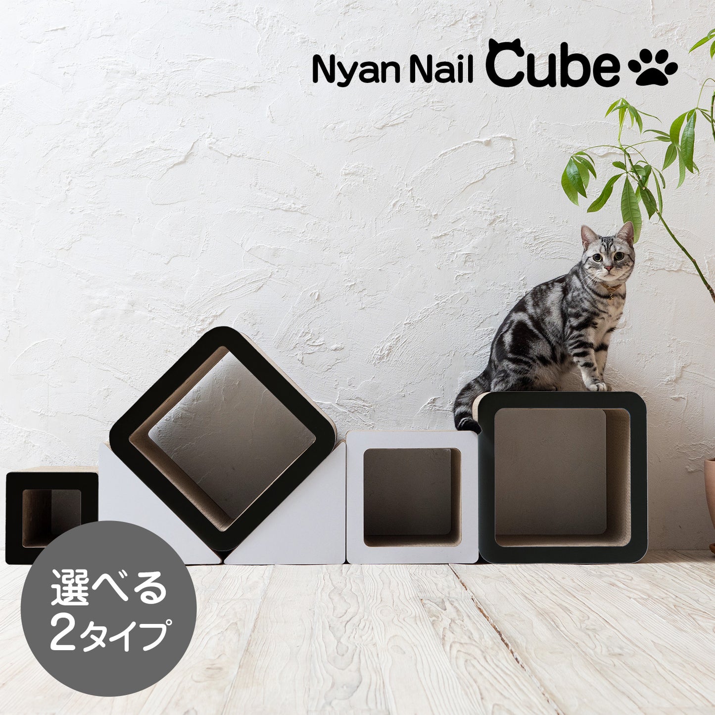 にゃんネイルキューブ