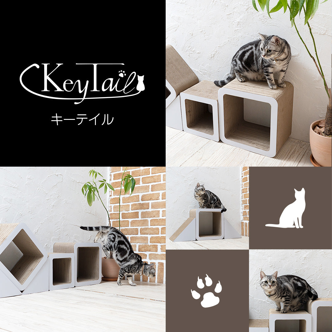 にゃんネイルキューブ