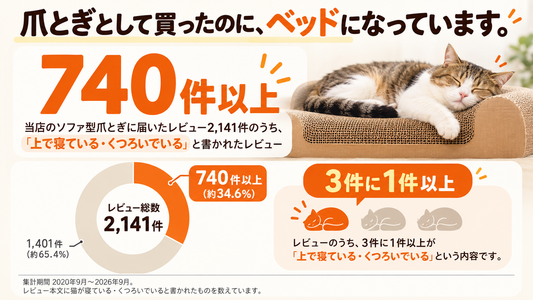 爪とぎ一体型ベッドの選び方｜ダンボール派が増えている理由