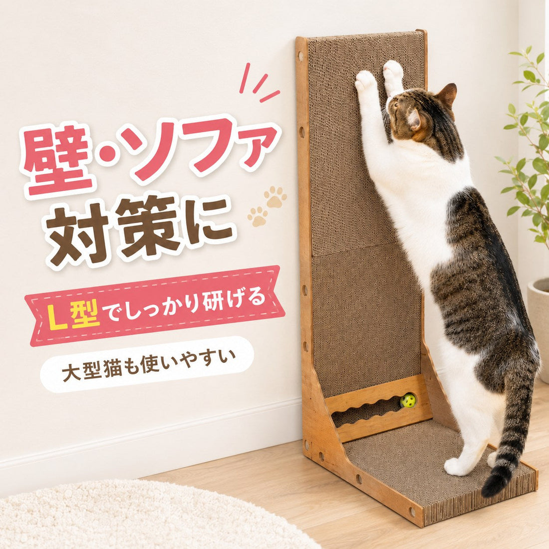 固いは正義？