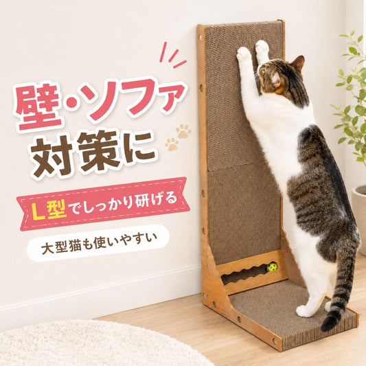 固いは正義？