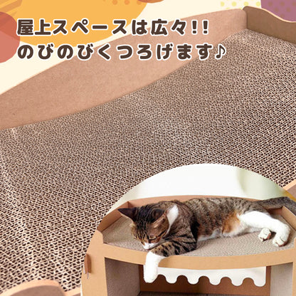 ねこマンション