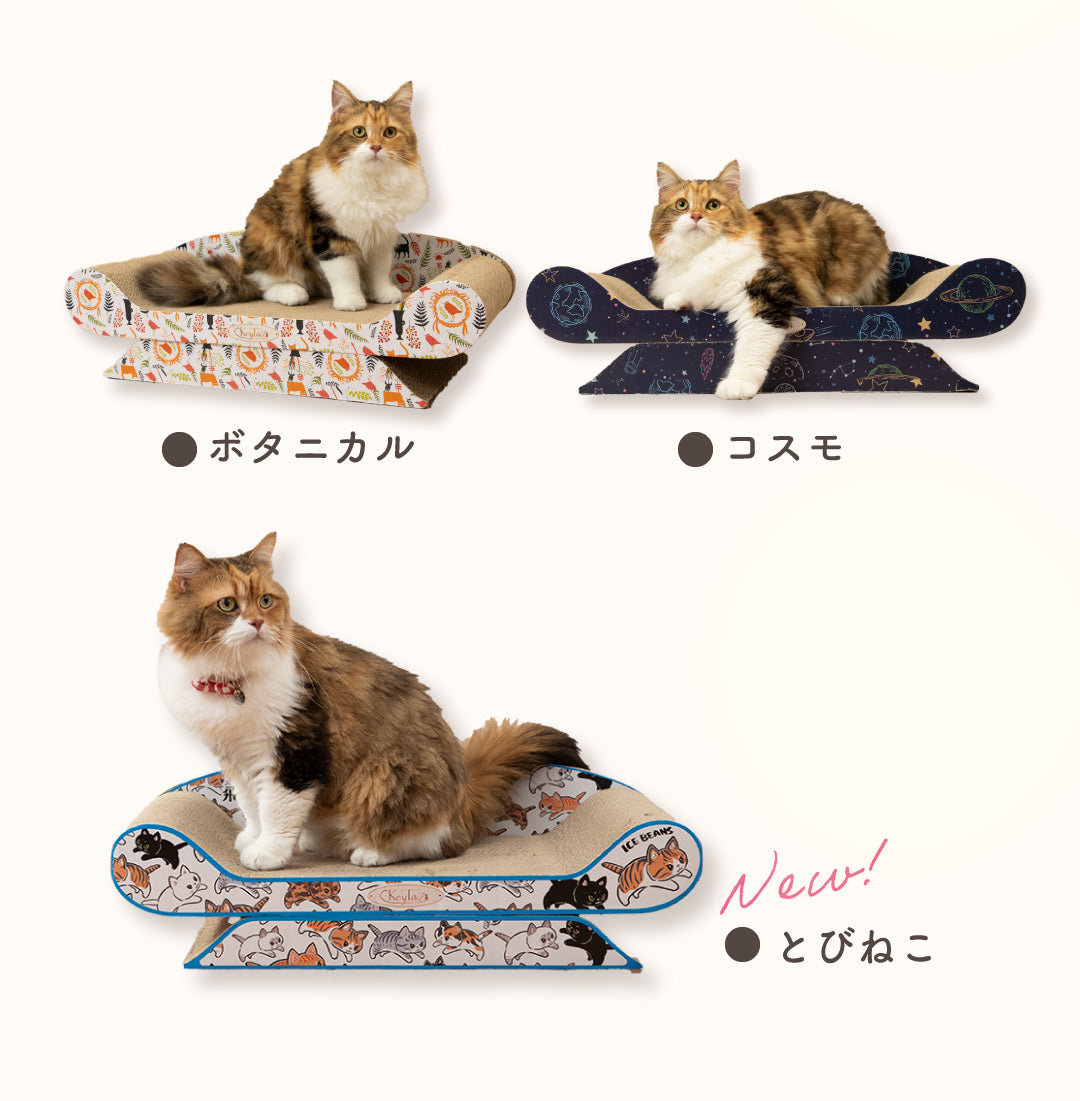 カラーバリエーション一覧。ボタニカル、コスモ（宇宙柄）、新色とびねこの3色のソファーとそれぞれに乗る猫の写真