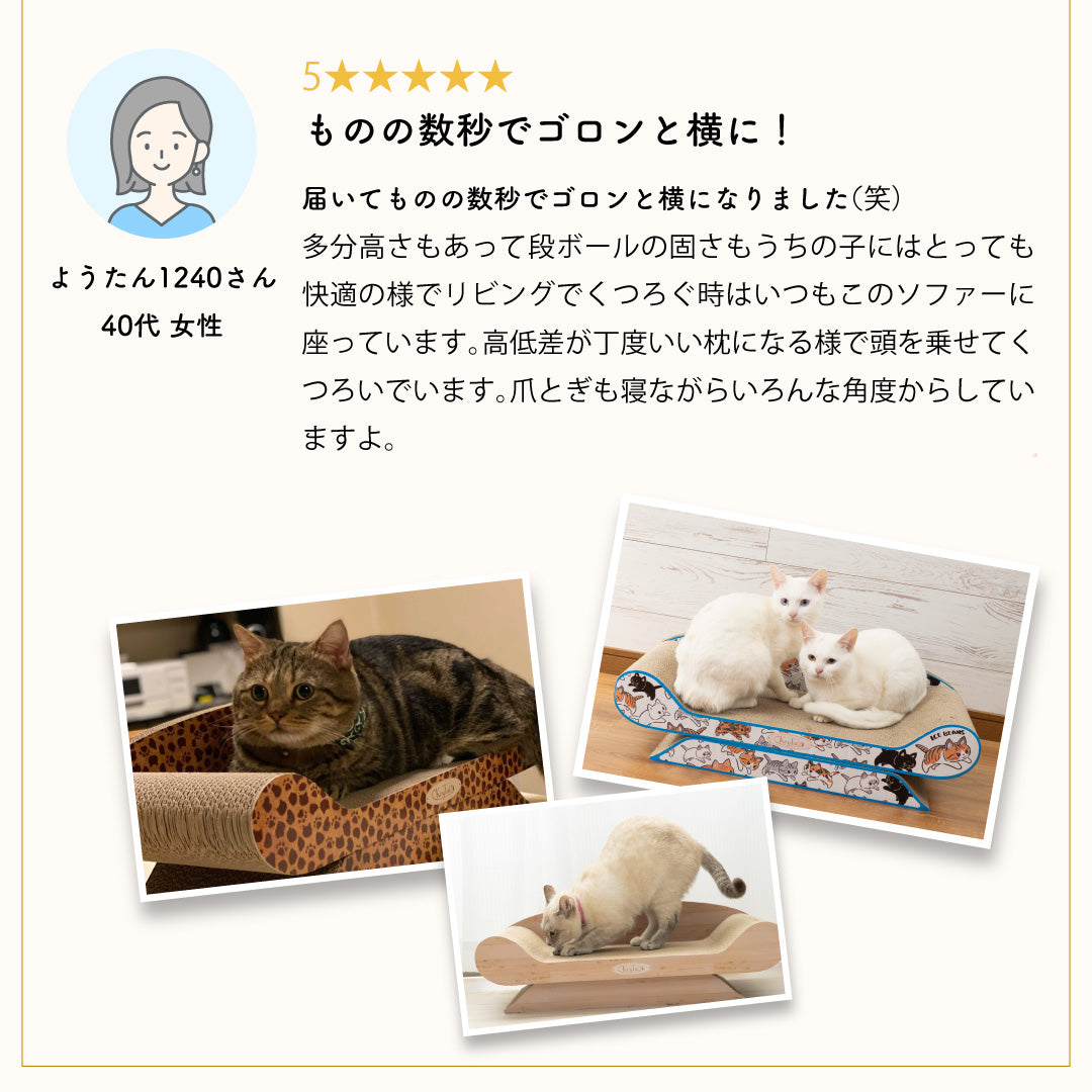 購入者の98.8%が満足と回答したアンケート結果。かわいさ・おおきさ・機能性の5つ星コメントとともに寛ぐ猫