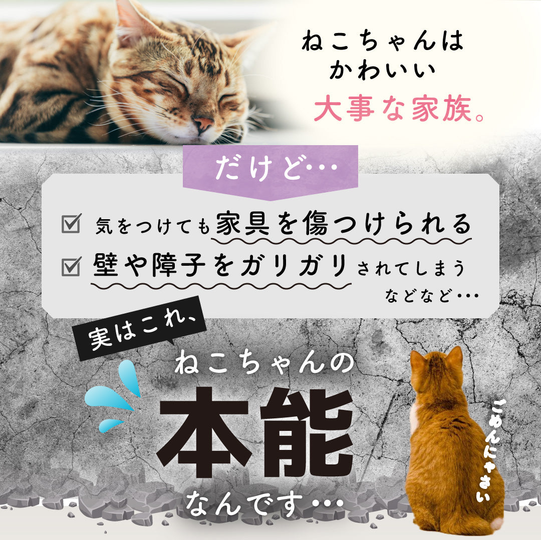 枕に最高・爪とぎにもベッドにもかわいい・台座付きでいろいろ使える・7kg超の猫もOK・背もたれ付き・ゴミが出にくいという特長を吹き出しで紹介。上に座る猫