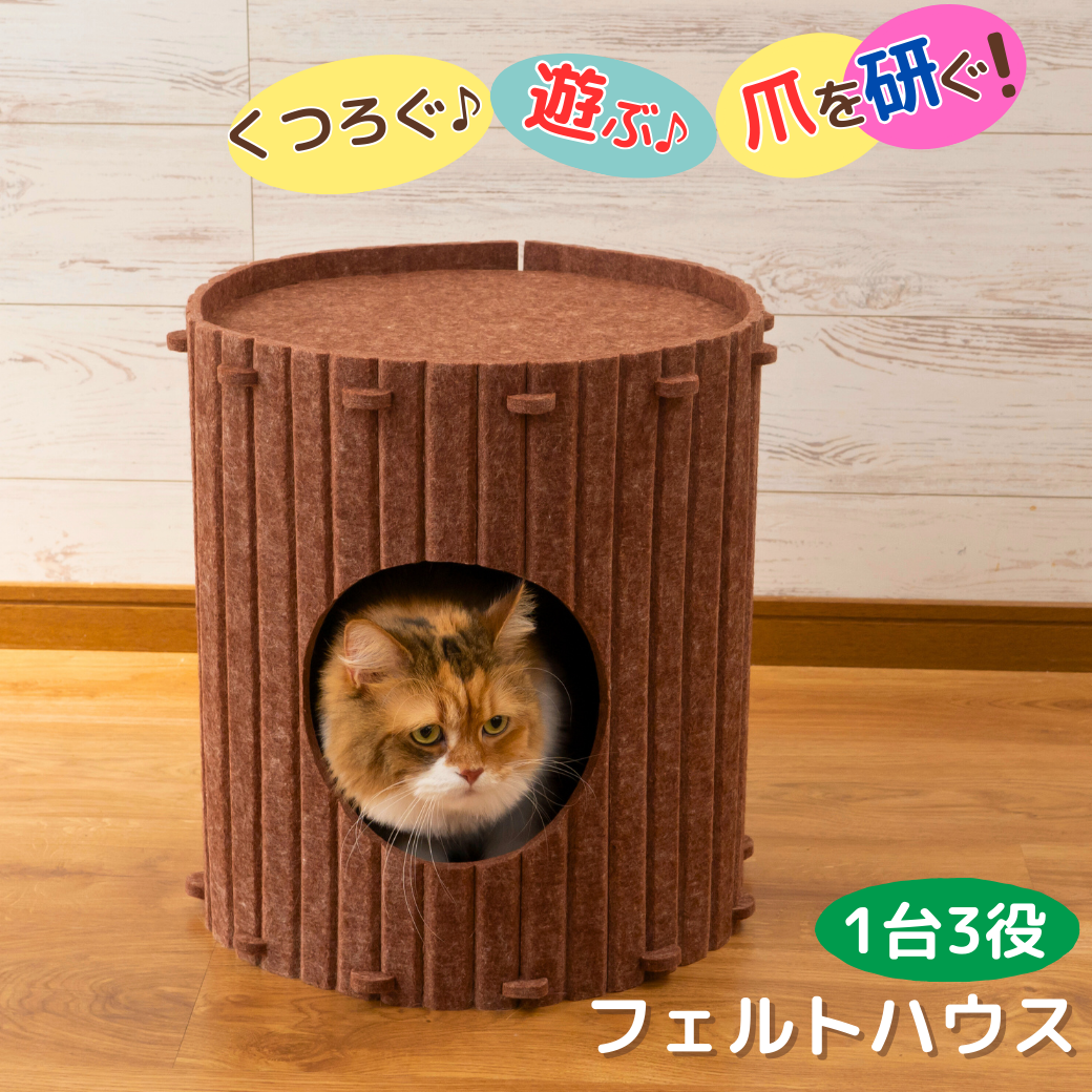 Point02「動いて遊んで、ちょっと休憩 遊びもくつろぎも堪能」の見出しと、円柱型ハウスの上に乗る猫、家型ハウスから顔を出す猫の写真。遊び場にもリラックス空間にもなる使い方を紹介。