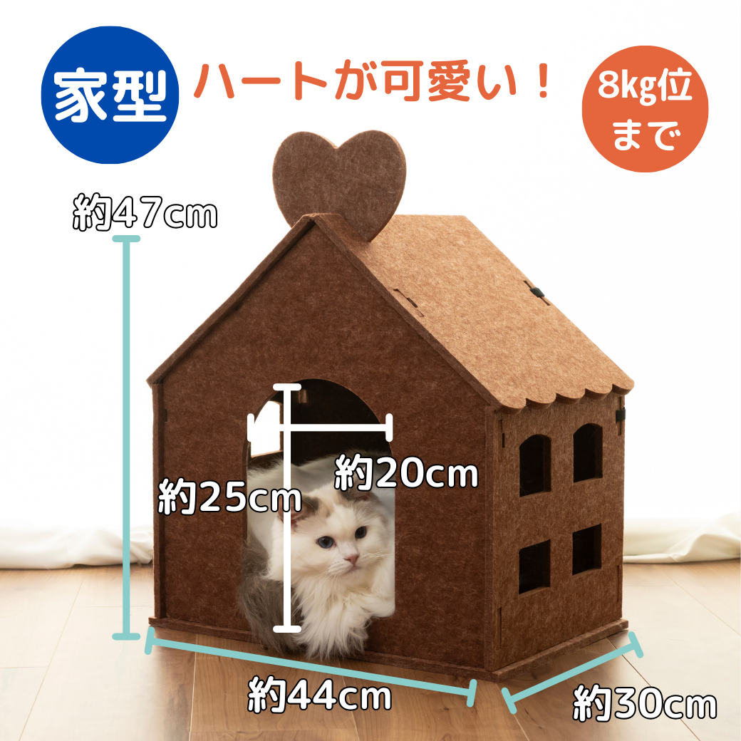 「山型 Mountain Type」の見出しと、カーブ形状の山型ハウスに乗る三毛猫、穴から顔を出すシャムポイントの猫の写真。広い面でごろ寝でき、日向ぼっこにも向くという説明。