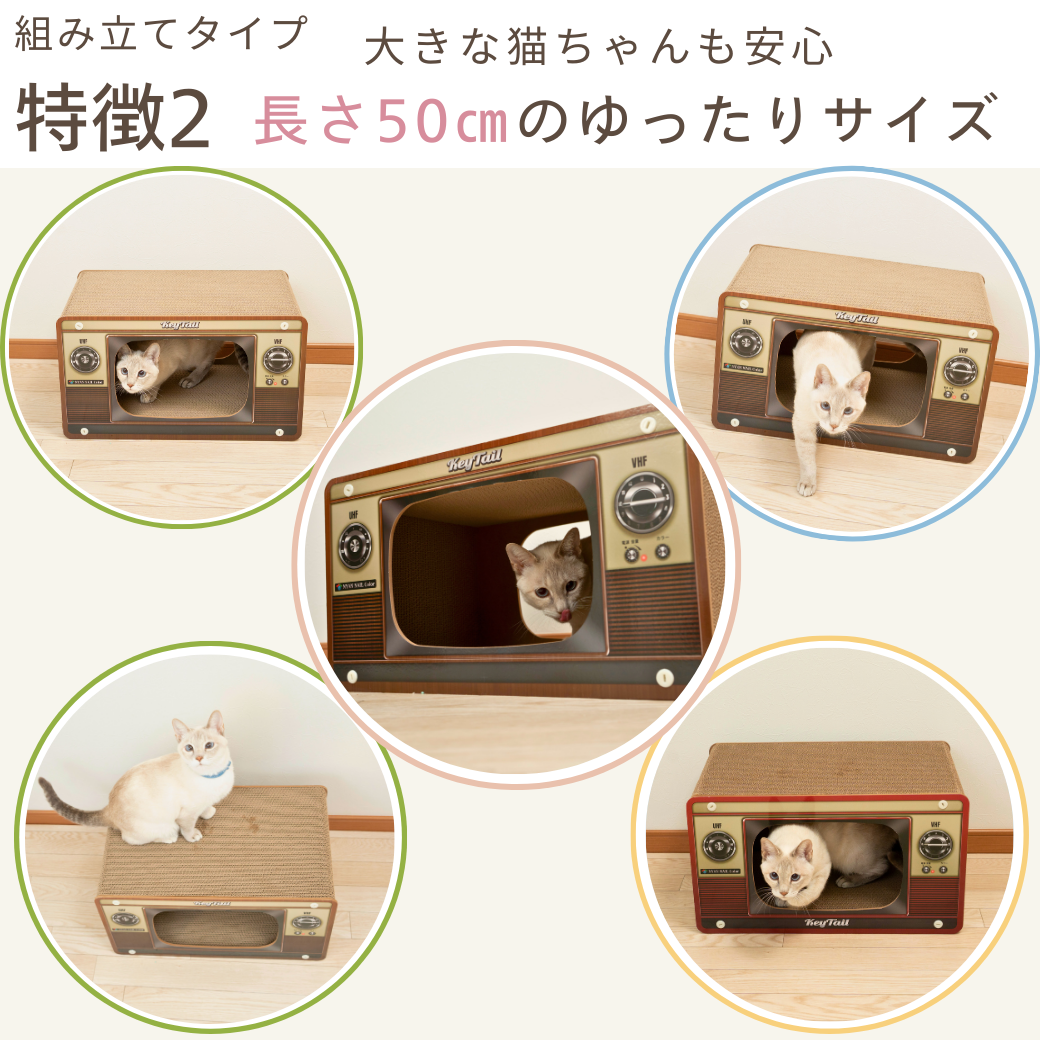 にゃんネイル テレビジョン