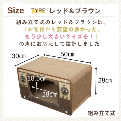 にゃんネイル テレビジョン