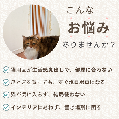 にゃんネイル テレビジョン