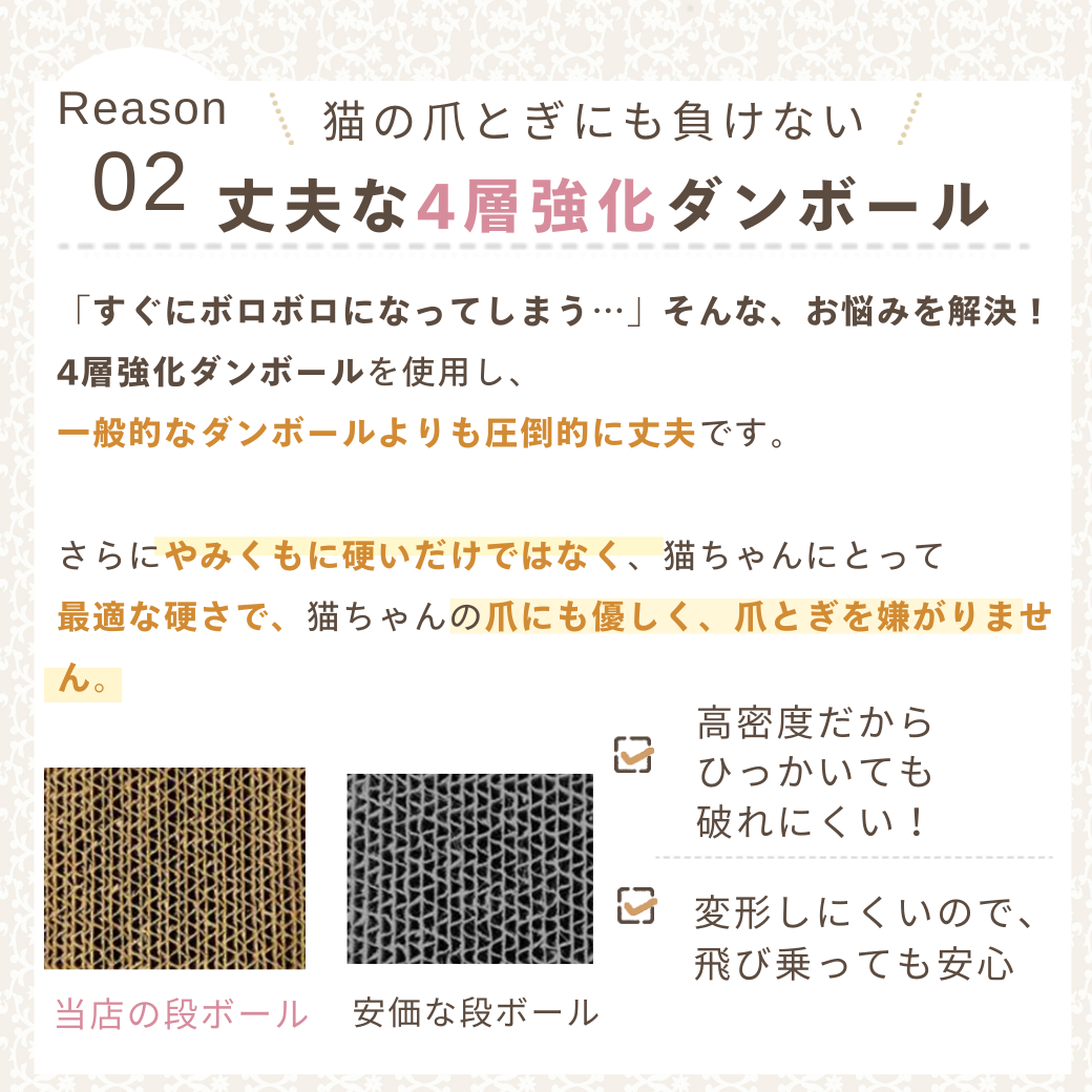にゃんネイル テレビジョン