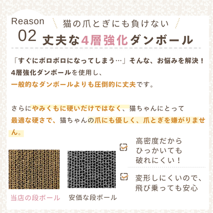 にゃんネイル テレビジョン
