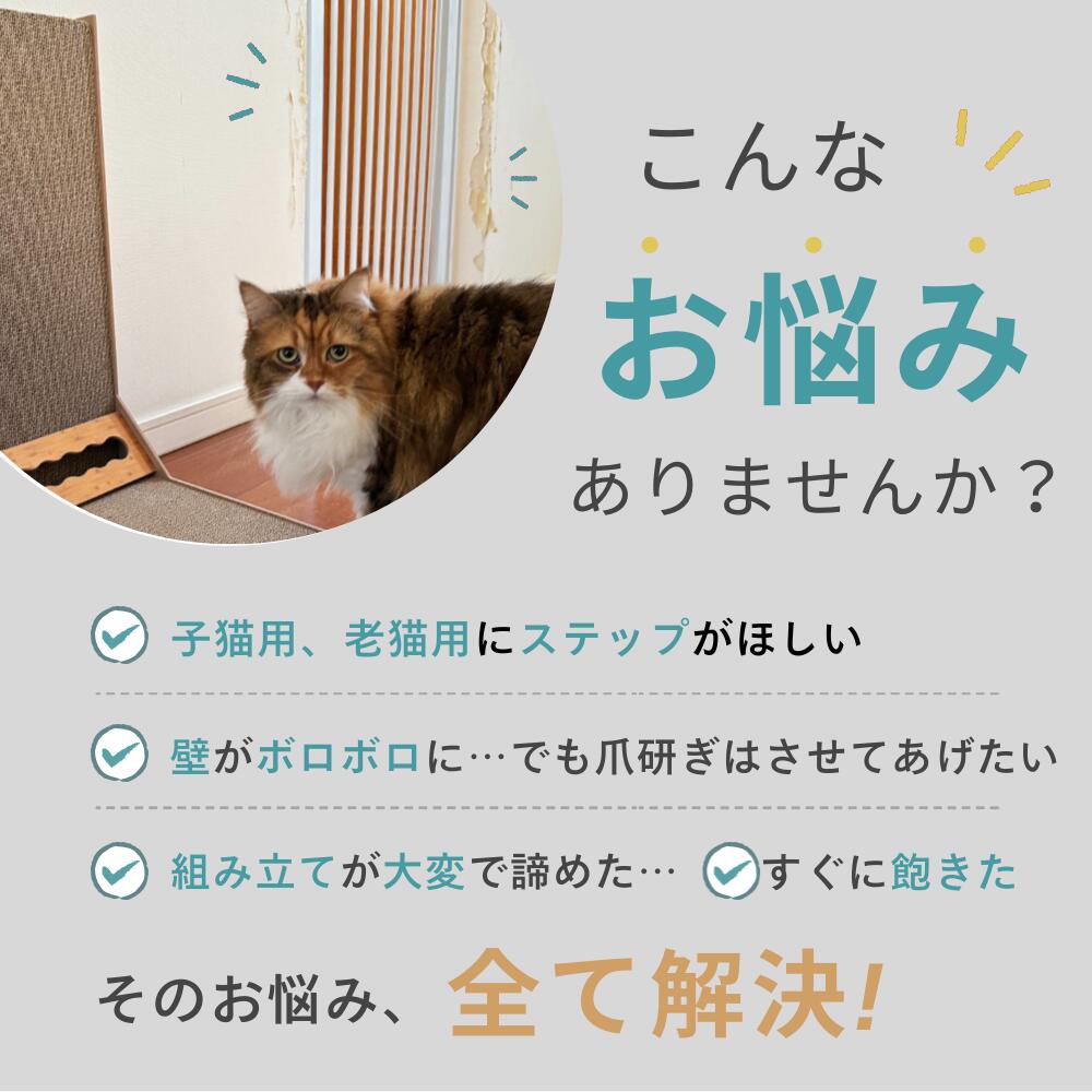 壁で爪とぎをする猫の写真とともに「子猫用老猫用にステップがほしい」「壁がボロボロに」「組み立てが大変」「すぐに飽きた」という悩みを提起し、全て解決とうたう導入カット