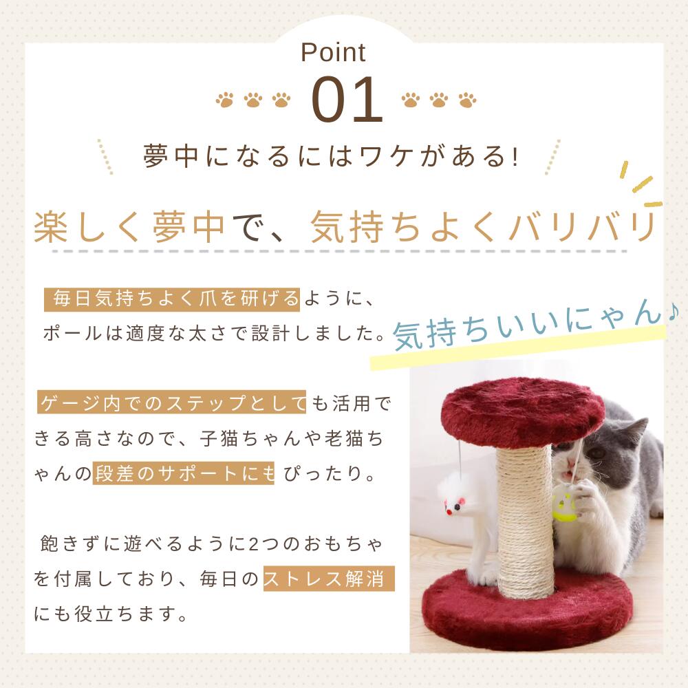 Point01 楽しく夢中で気持ちよくバリバリ。ポールは爪を研ぎやすい適度な太さに設計し、ゲージ内のステップとしても活用でき子猫や老猫の段差サポートにもなる。おもちゃで遊ぶレッドのポールと猫