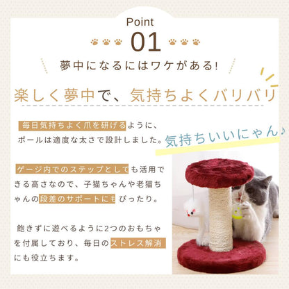 Point01 楽しく夢中で気持ちよくバリバリ。ポールは爪を研ぎやすい適度な太さに設計し、ゲージ内のステップとしても活用でき子猫や老猫の段差サポートにもなる。おもちゃで遊ぶレッドのポールと猫