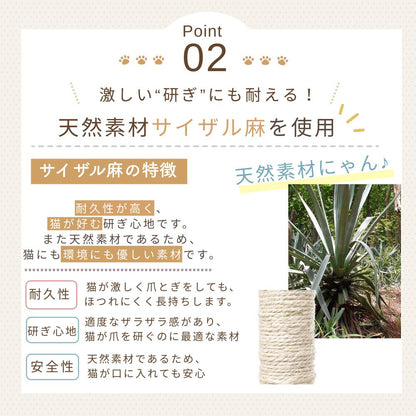 Point02 天然素材サイザル麻を使用。耐久性が高くほつれにくい、猫が好む適度なザラザラの研ぎ心地、天然素材で口に入れても安心という3つの特徴。麻が育つ植物とポールの麻部分の写真