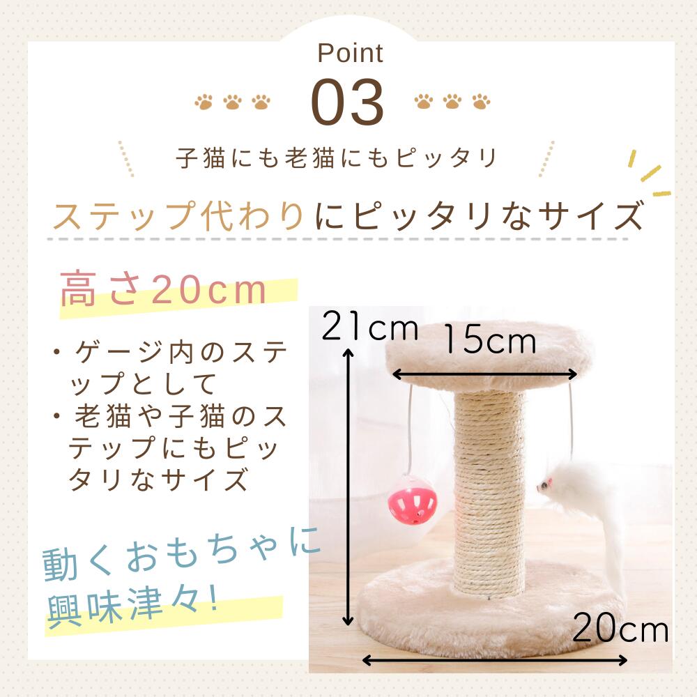 Point03 子猫にも老猫にもピッタリ、ステップ代わりになるサイズ。高さ20cm、天板直径21cm×15cm、底面直径20cmの寸法図。動くおもちゃに興味津々な猫の様子