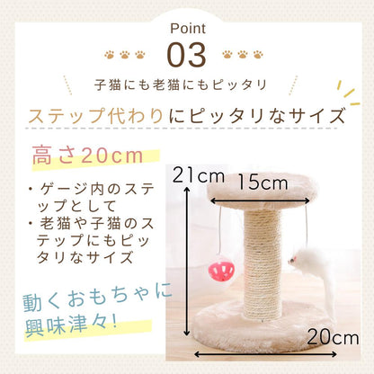 Point03 子猫にも老猫にもピッタリ、ステップ代わりになるサイズ。高さ20cm、天板直径21cm×15cm、底面直径20cmの寸法図。動くおもちゃに興味津々な猫の様子