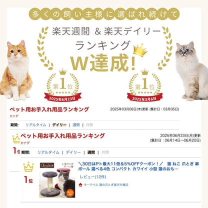 多くの飼い主に選ばれ、楽天週間・楽天デイリーのペット用お手入れ用品ランキングでW1位を達成した実績画像。茶トラ猫と白猫、ランキング結果のスクリーンショット