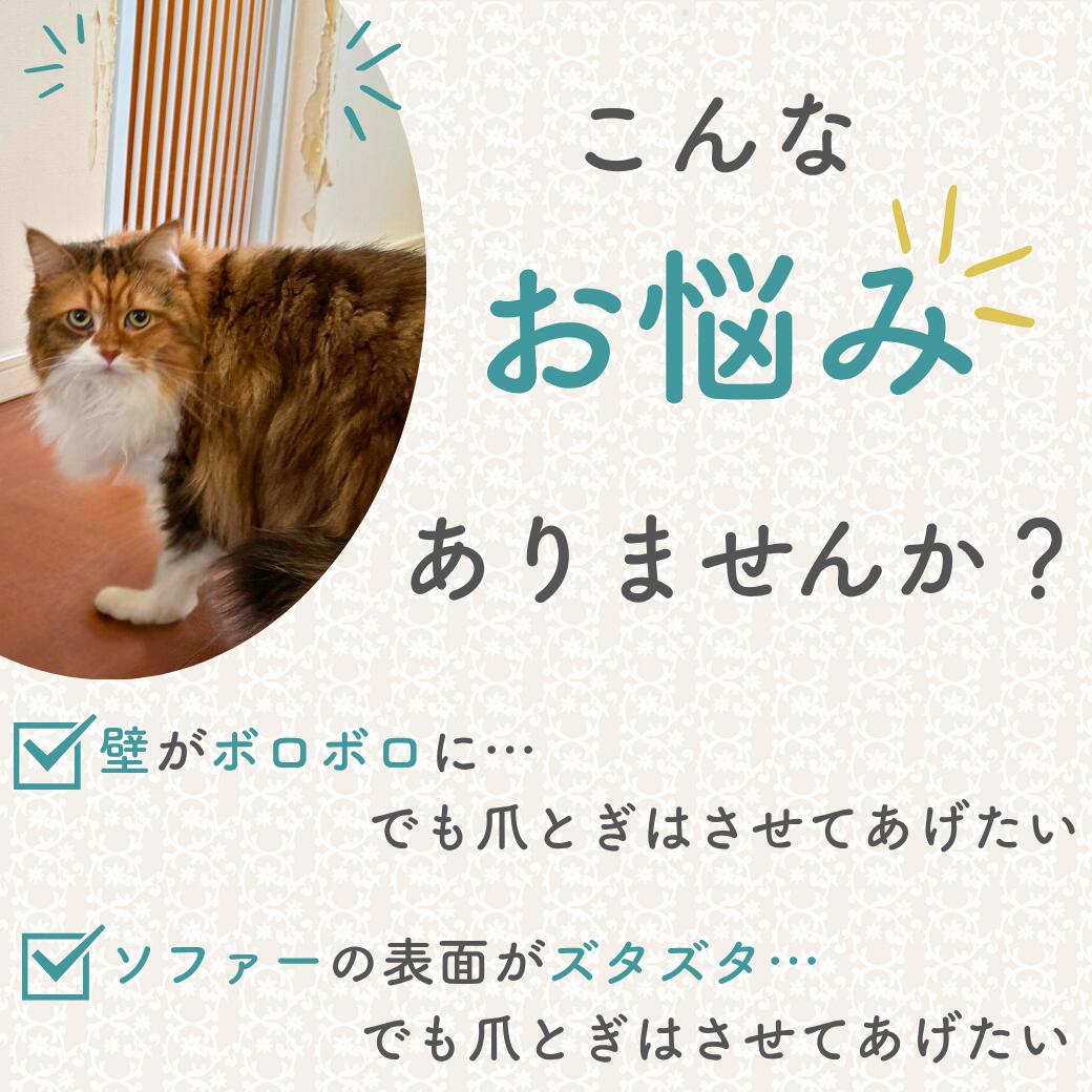 壁紙がボロボロに剥がれた実例写真と、ソファーの傷みに悩む猫の写真。爪とぎによる家具・壁の傷みという悩みを提起する導入カット