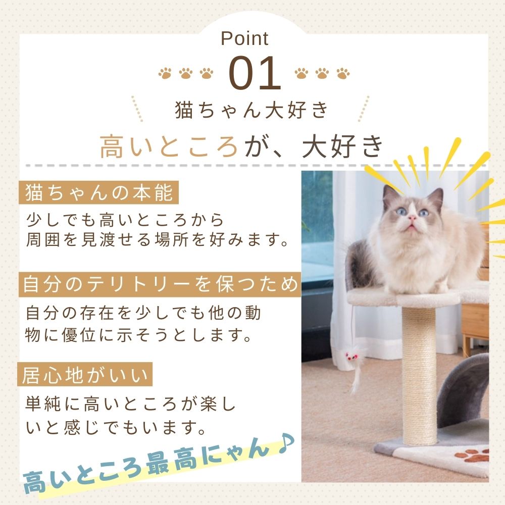 Point01 猫ちゃん大好き。高いところが大好きという見出しで、見晴らし台の上に座る猫の写真。本能・テリトリー確保・居心地の良さから猫は高い場所を好むと説明