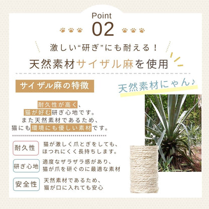 Point02 激しい研ぎにも耐える天然素材サイザル麻を使用。麻の原料植物の写真と柱のアップ。耐久性が高く猫が好む研ぎ心地、天然素材で口に入れても安心と説明