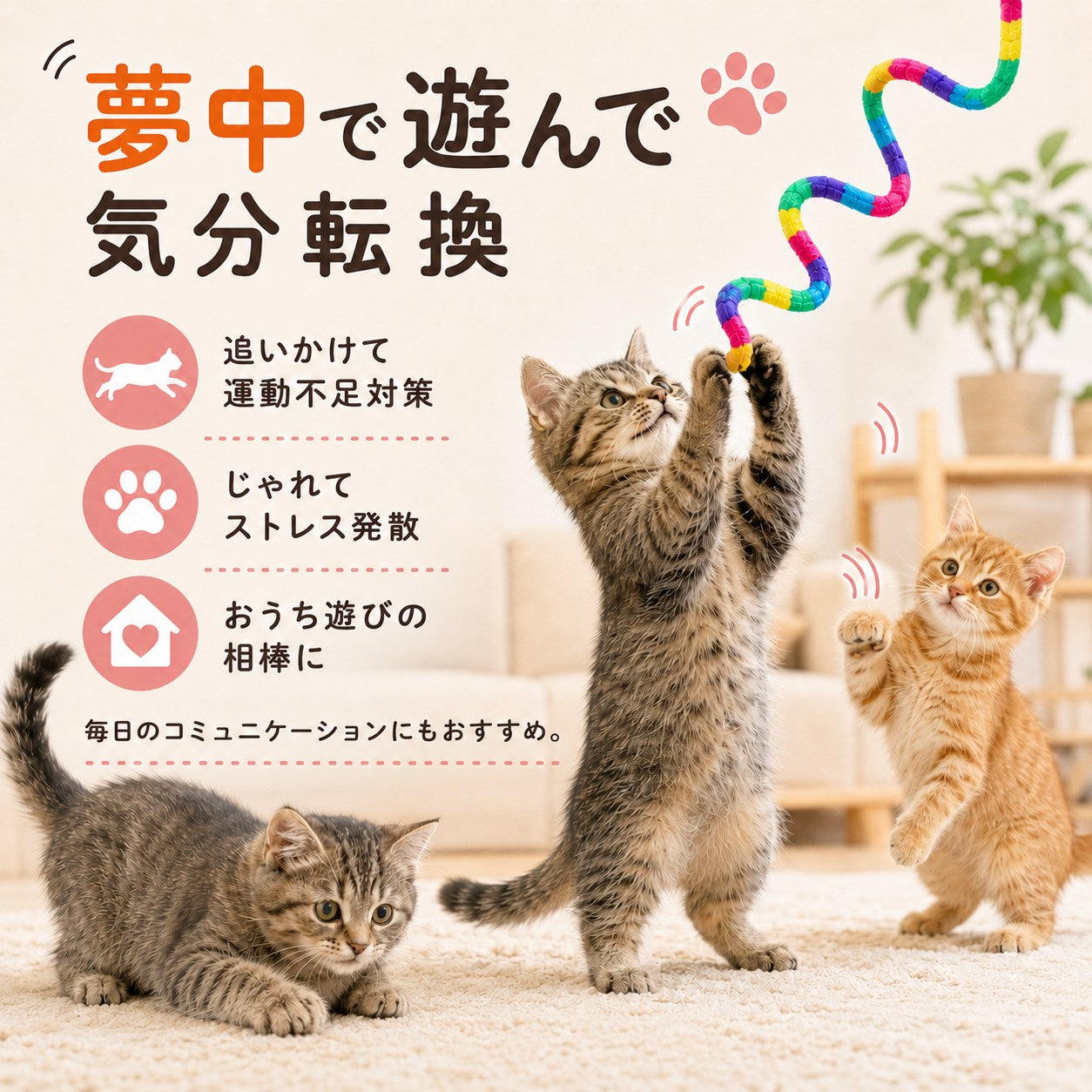 「夢中で遊んで気分転換」の見出し。追いかけて運動不足対策、じゃれてストレス発散、おうち遊びの相棒にの3ポイント。バネ状じゃらしに前脚を伸ばす子猫と、周りで遊ぶ2匹の子猫たち