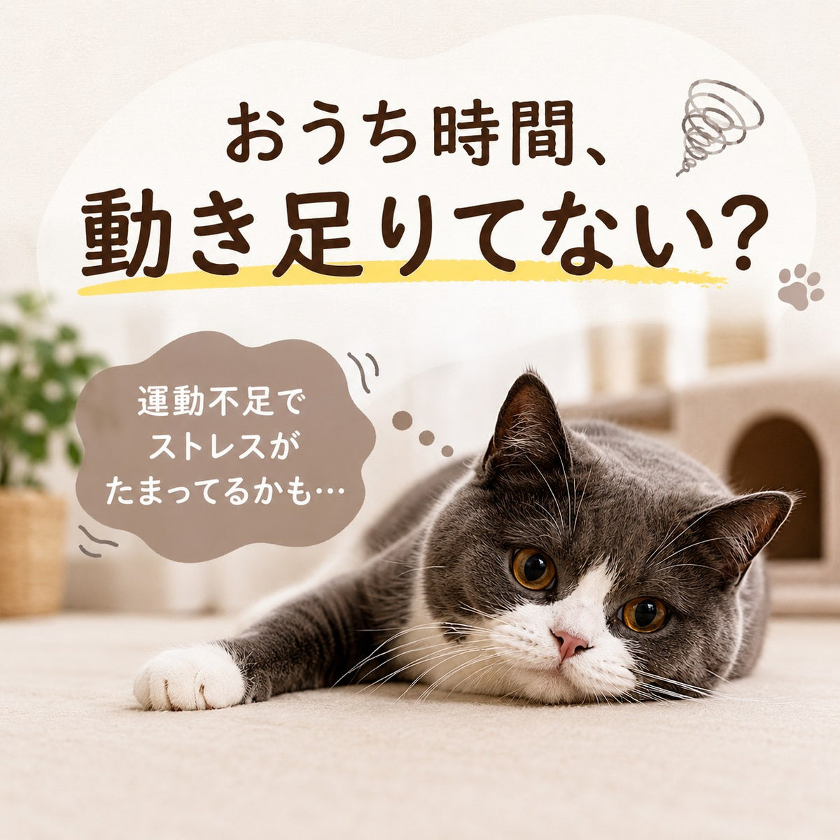 「おうち時間、動き足りてない？運動不足でストレスがたまってるかも…」と運動不足を問いかける導入カット。床に伏せる猫のアップ