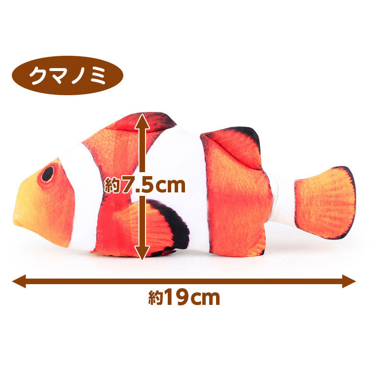 クマノミ柄ぬいぐるみの単体サイズ図。全長約19cm、高さ約7.5cmの表記