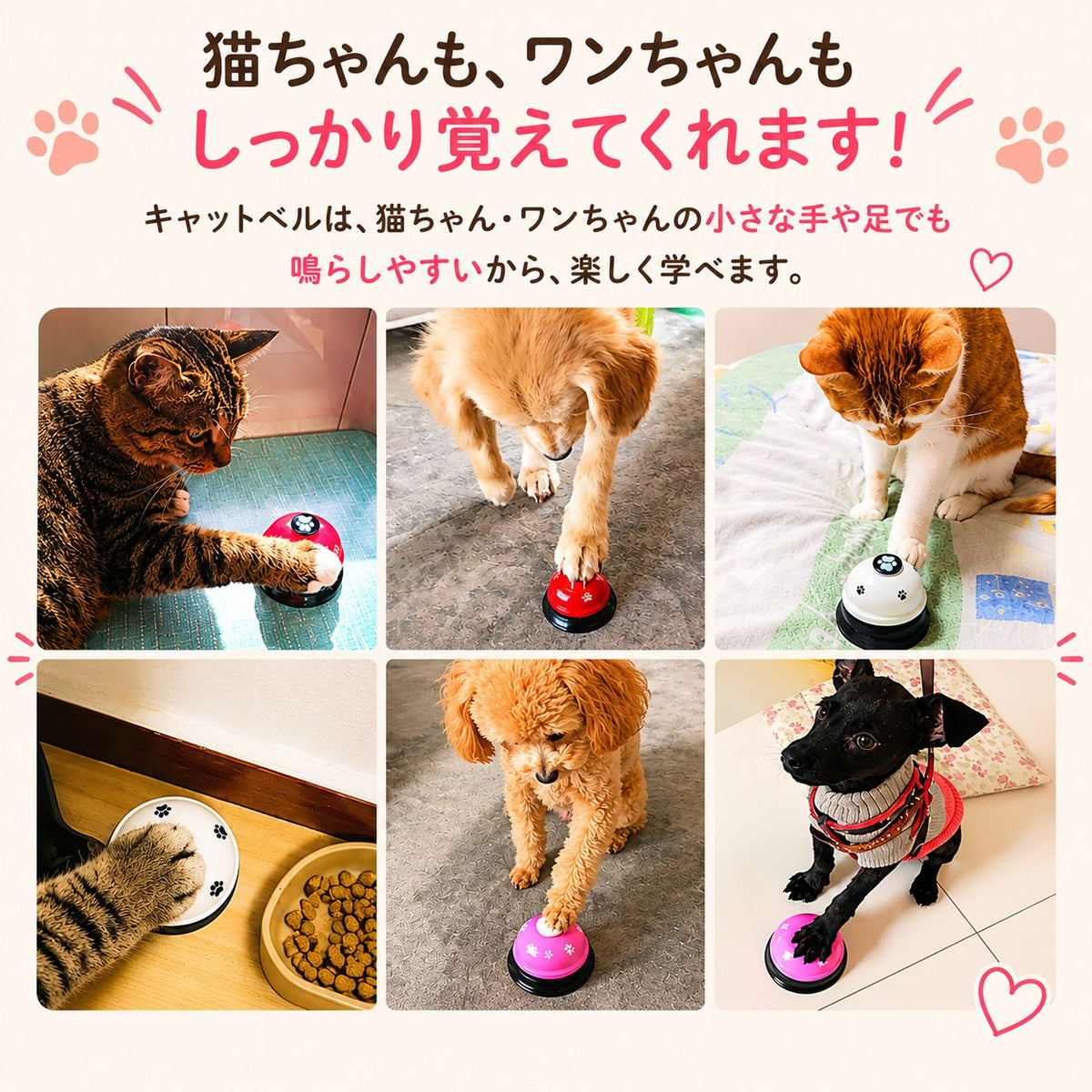 「猫ちゃんも、ワンちゃんもしっかり覚えてくれます！」の見出しと、赤・白・ピンクのベルを前足で押す猫や犬6枚の実践写真、フード皿の横で足を伸ばす猫も含む