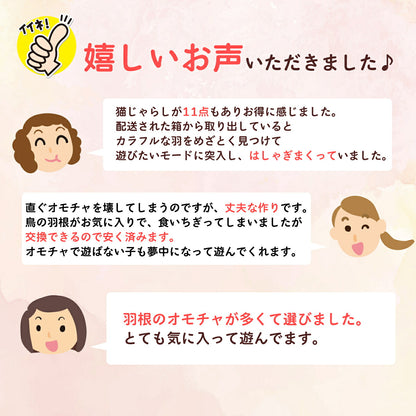 購入者からの好意的なレビュー3件を紹介するカット。11点セットのお得感、丈夫で交換できる作り、羽根の種類の多さが挙げられている