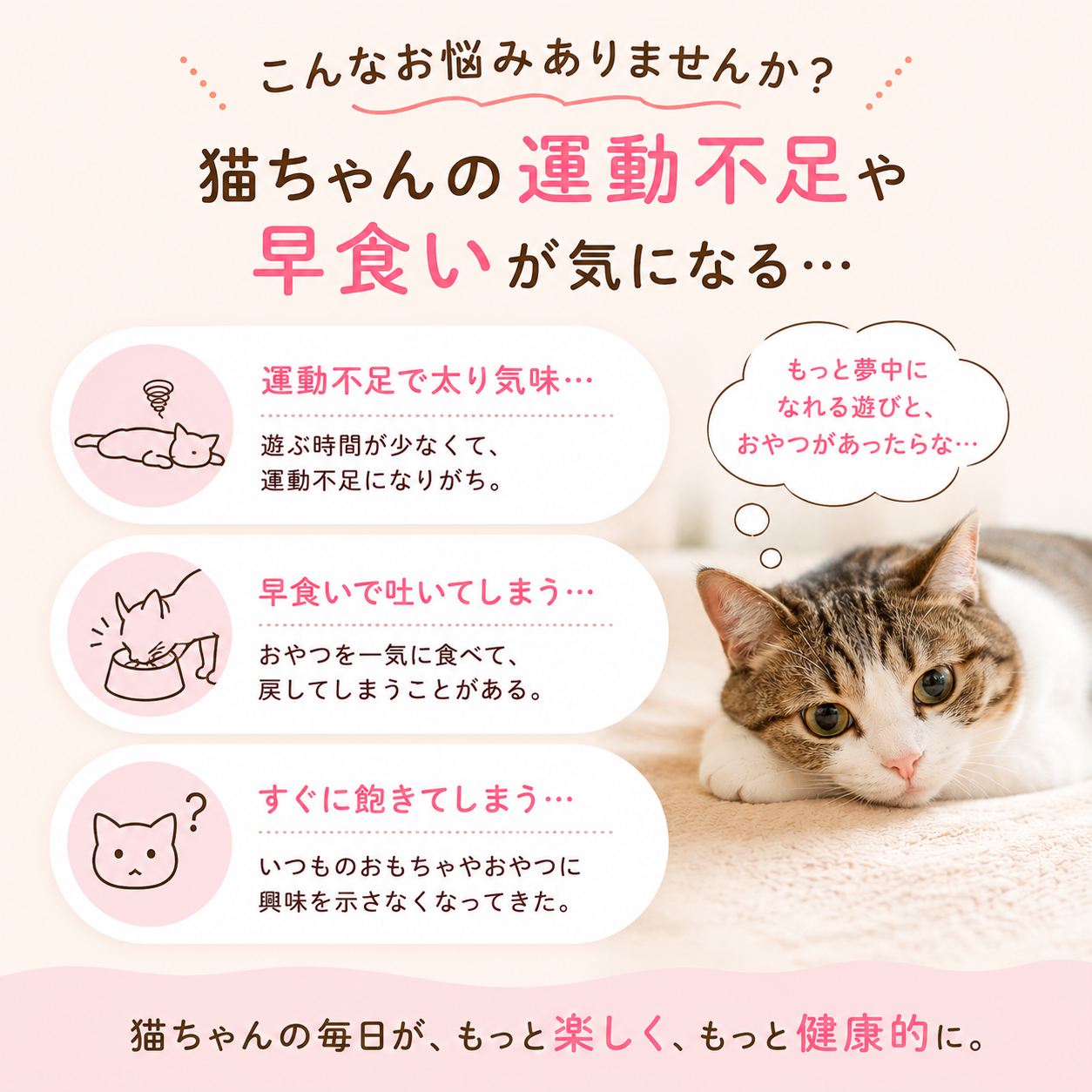「猫ちゃんの運動不足や早食いが気になる…」の問題提起。運動不足・早食いで吐く・すぐ飽きるの3つの悩みをイラストで示し、毛布に伏せる猫の写真を添える