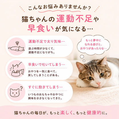 「猫ちゃんの運動不足や早食いが気になる…」の問題提起。運動不足・早食いで吐く・すぐ飽きるの3つの悩みをイラストで示し、毛布に伏せる猫の写真を添える