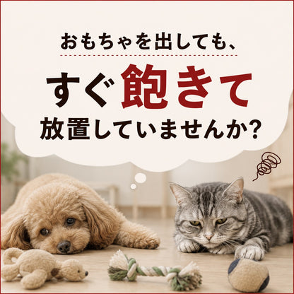 床に置かれたぬいぐるみに見向きもせずすぐ飽きてしまう犬と猫。「おもちゃを出してもすぐ飽きて放置していませんか?」という悩み提起の導入カット