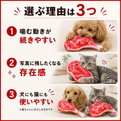 選ぶ理由は3つ。1.噛む動きが続きやすい(ステーキを噛む犬) 2.写真に残したくなる存在感(ステーキを抱える猫) 3.犬にも猫にも使いやすい(猫にはやや大きめの注記付き)