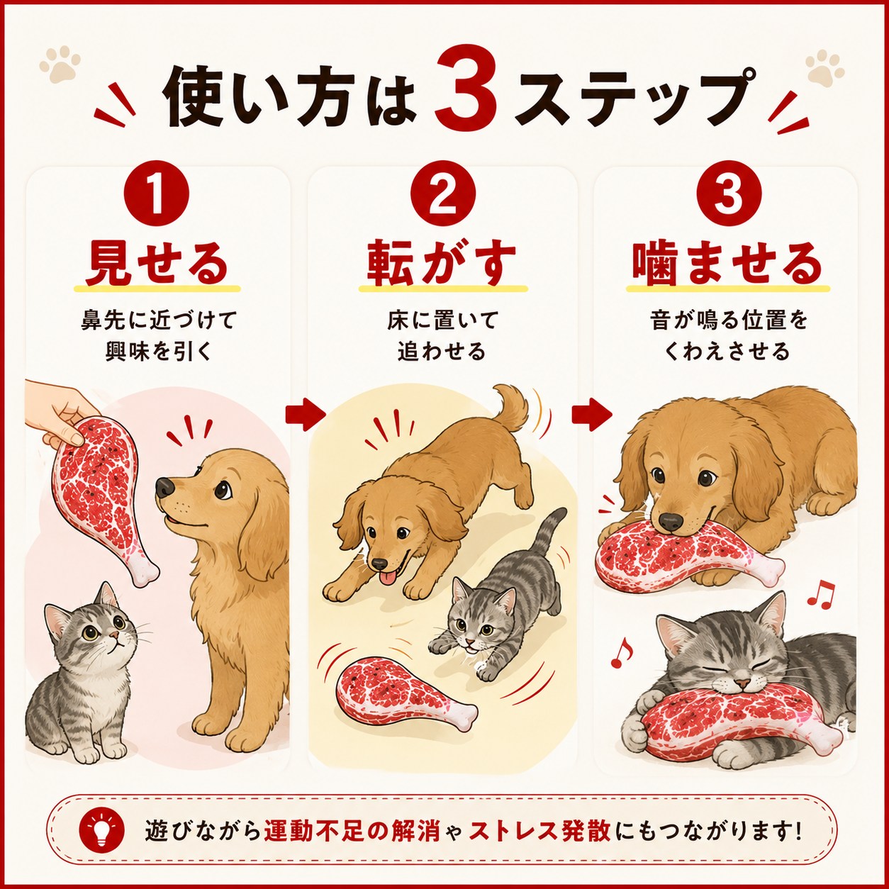 使い方は3ステップのイラスト解説。1.鼻先に近づけて見せる 2.床に転がして追わせる 3.音が鳴る位置を噛ませる。運動不足解消とストレス発散になると案内