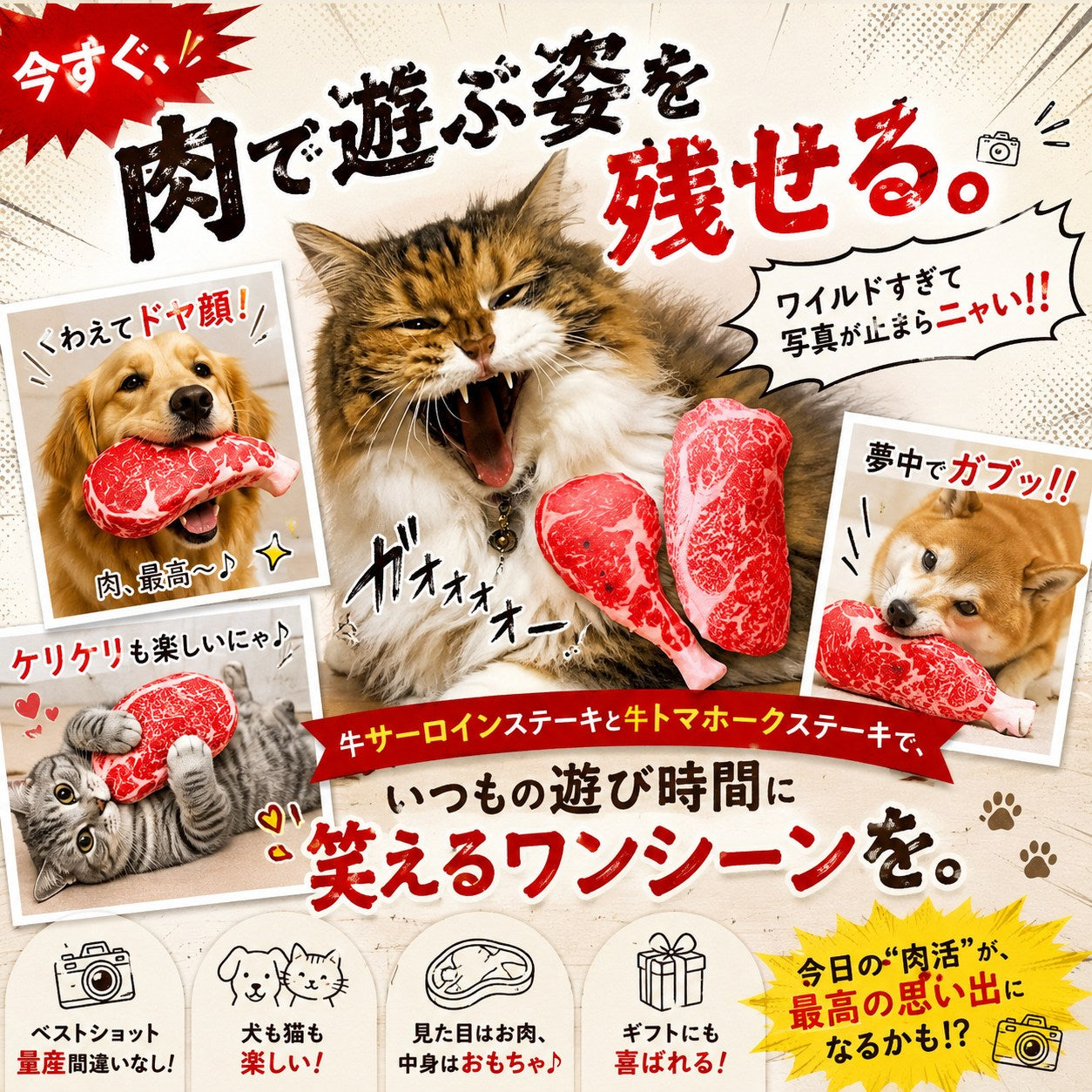 ステーキを咥えてドヤ顔の犬、ガオーと威嚇するように咥える猫、ケリケリして遊ぶ猫、夢中でガブッと噛む犬。肉で遊ぶ姿を写真に残せると訴求するシーン集